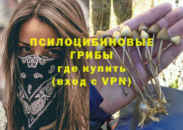 прущие крисы Зеленокумск
