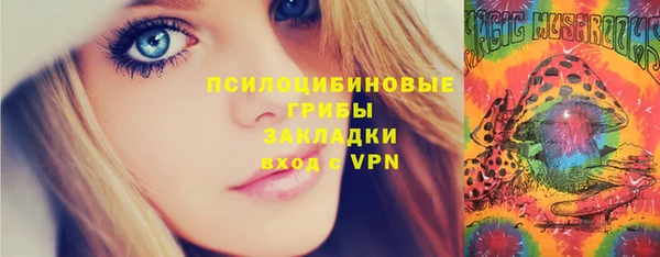 прущие крисы Зеленокумск