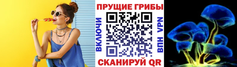 Псилоцибиновые грибы мухоморы  Купить закладки  Нюрба 